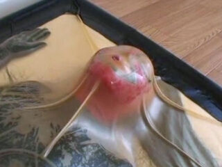 Close Up Fuck Cumshot