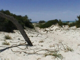 Mallorca Pissy Beach whore