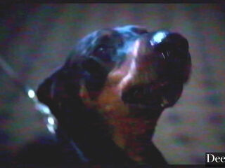 Compilation of sluts treating thei men just right with their pussies