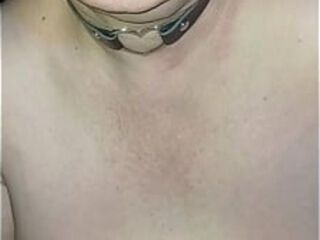 2025 12 05 Chienne Marie en club